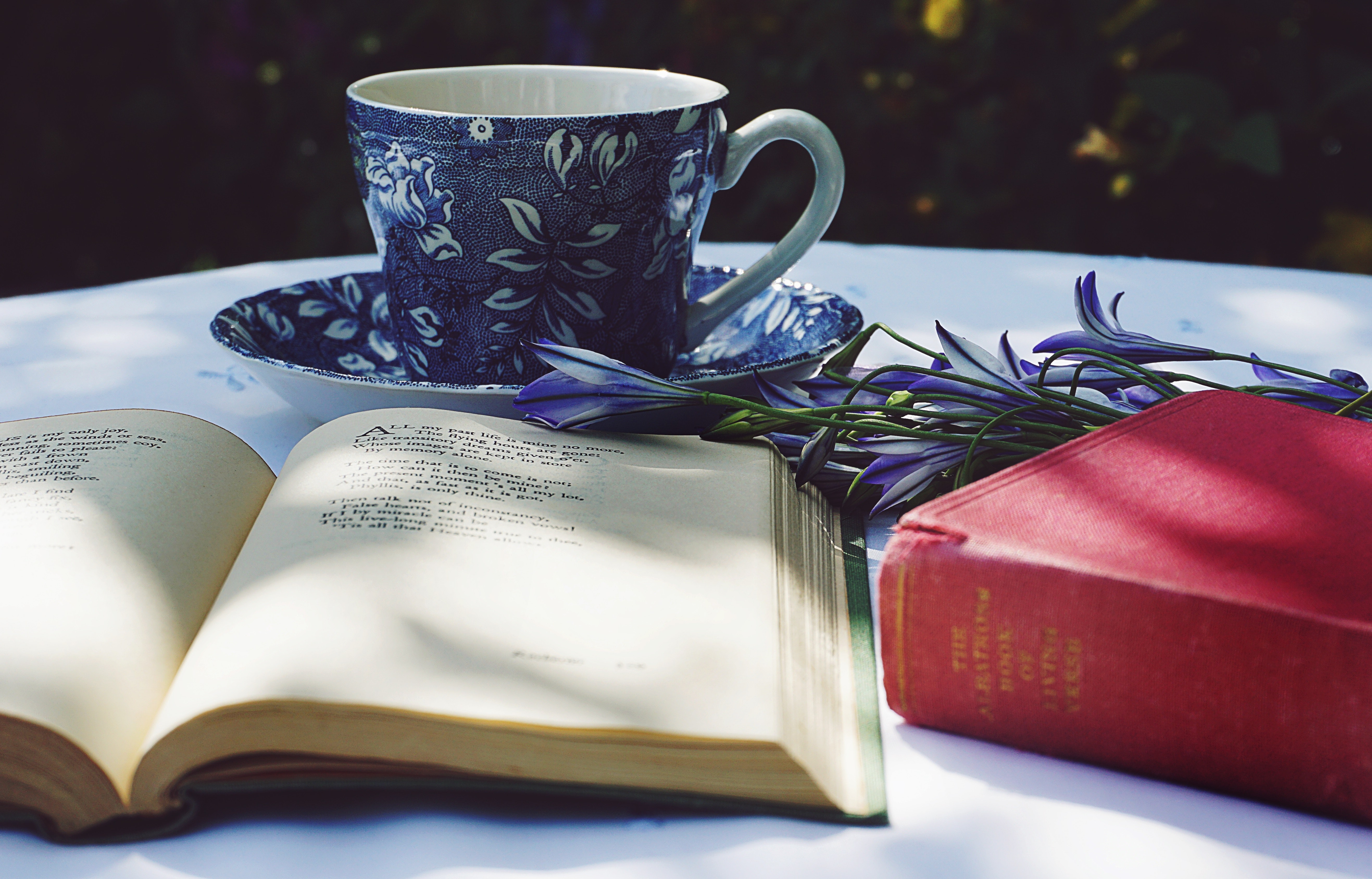 richly dwell